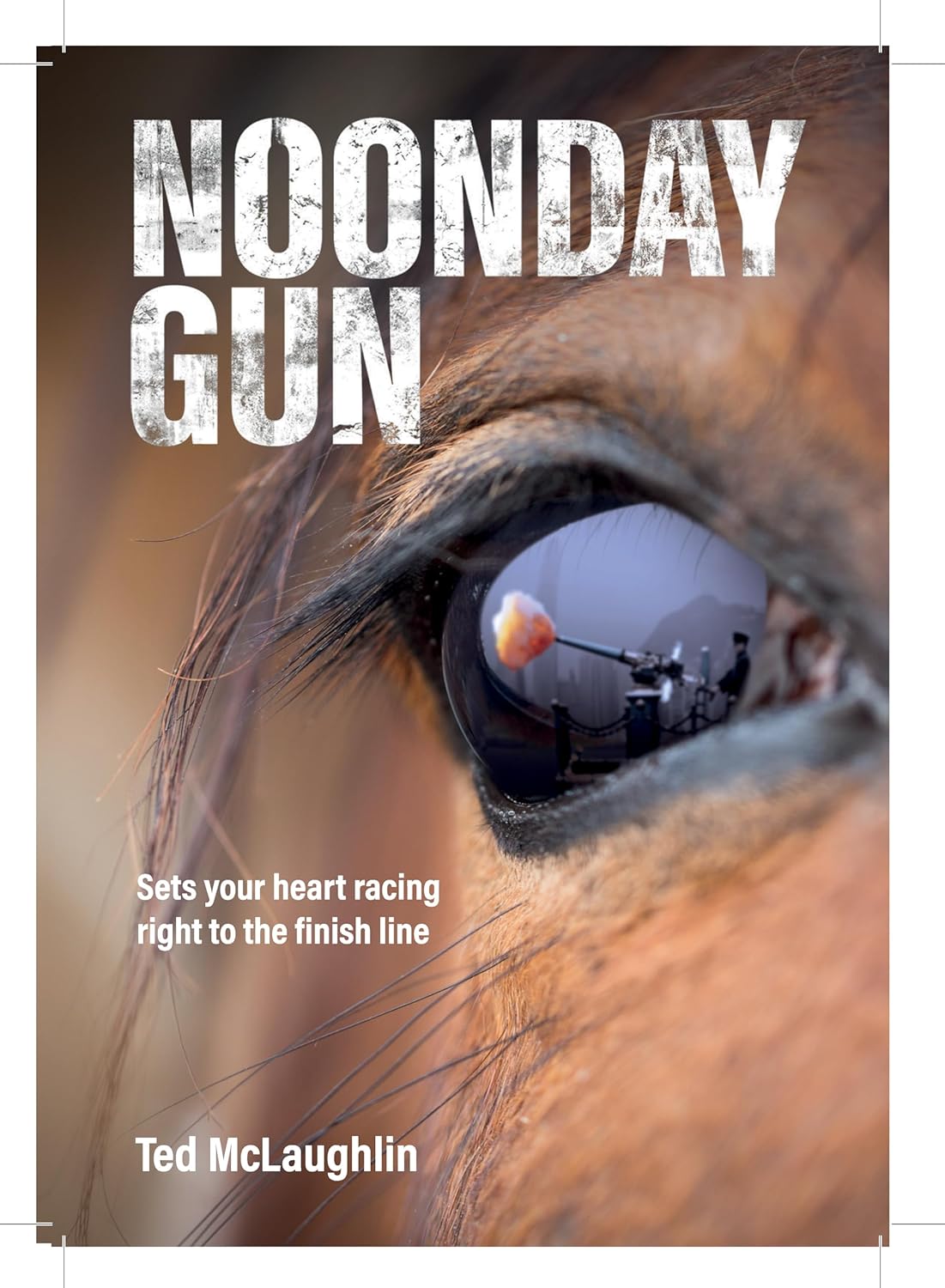 Noonday Gun by Ted McLoughlin