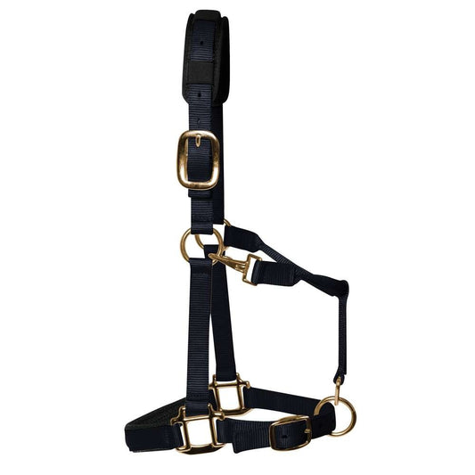 KM Elite Padded Headcollar- Black