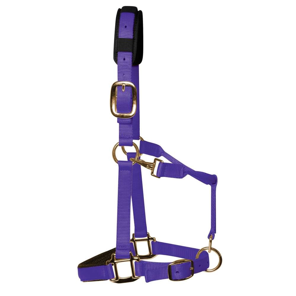 KM Elite Padded Headcollar- Purple