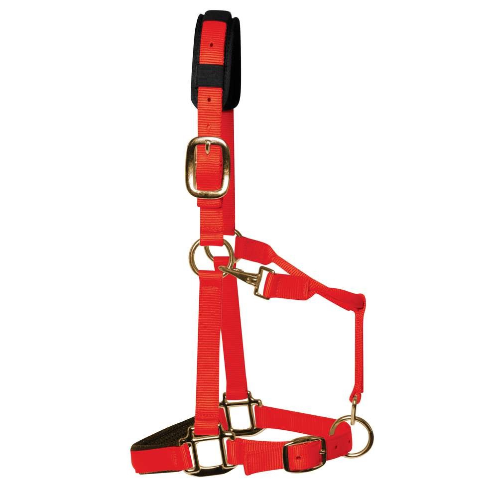 KM Elite Padded Headcollar- Red
