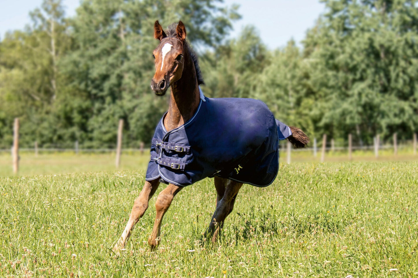 HKM Foal Rug - with Fleece Lining- Navy