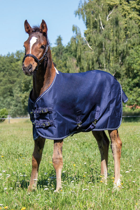 HKM Foal Rug - with Fleece Lining- Navy