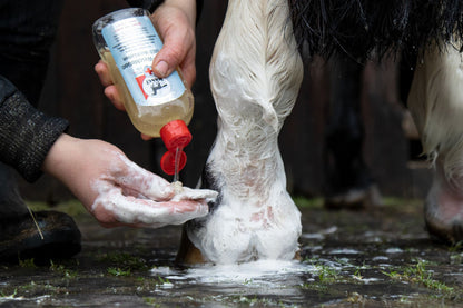 Leovet Medicated Wash