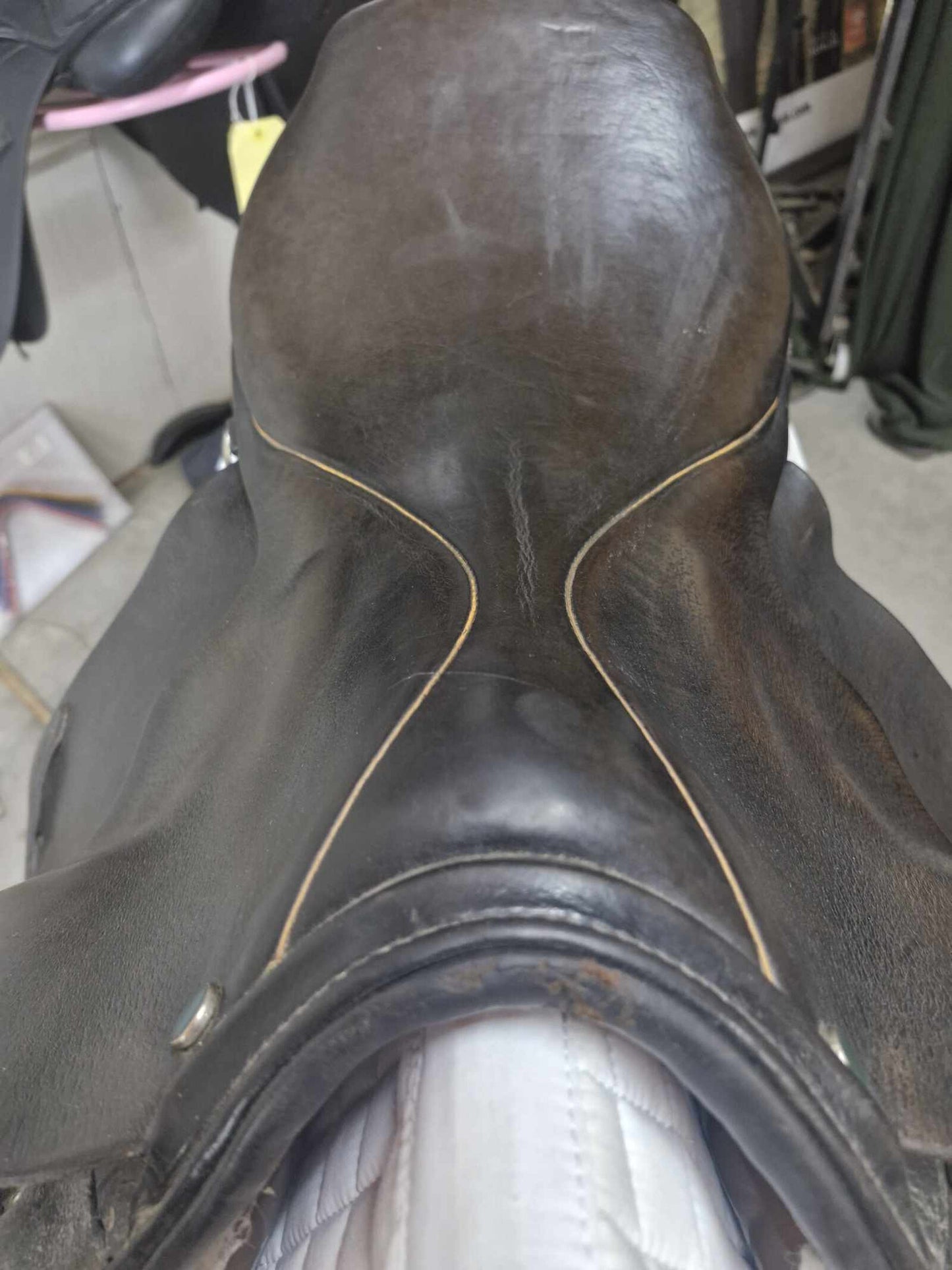 18" Stubben Siegfried ||