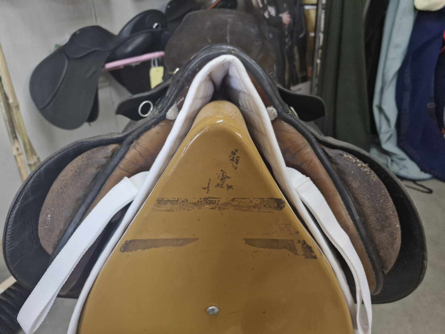 18" Stubben Siegfried ||