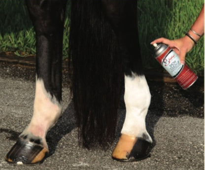 Shapley's Show Touch Up Colour Enhancer - Black