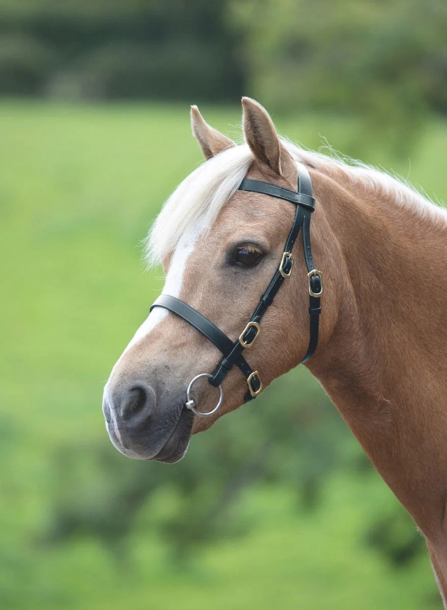 Shires Velociti Gara Plain In Hand Bridle- Shetland Size- Black
