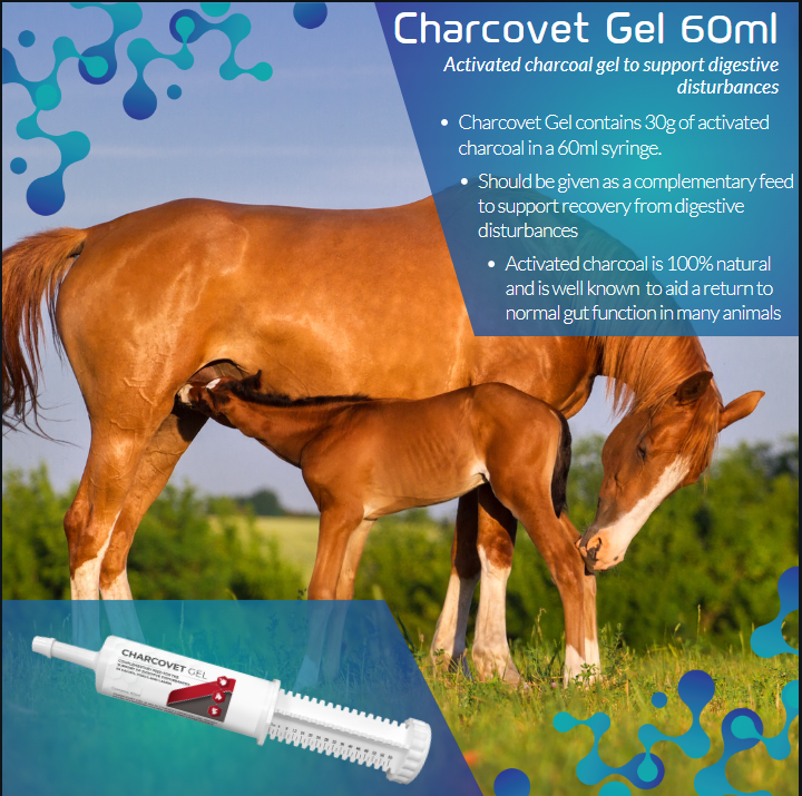 Ark Equine Charcovet Gel Syringe