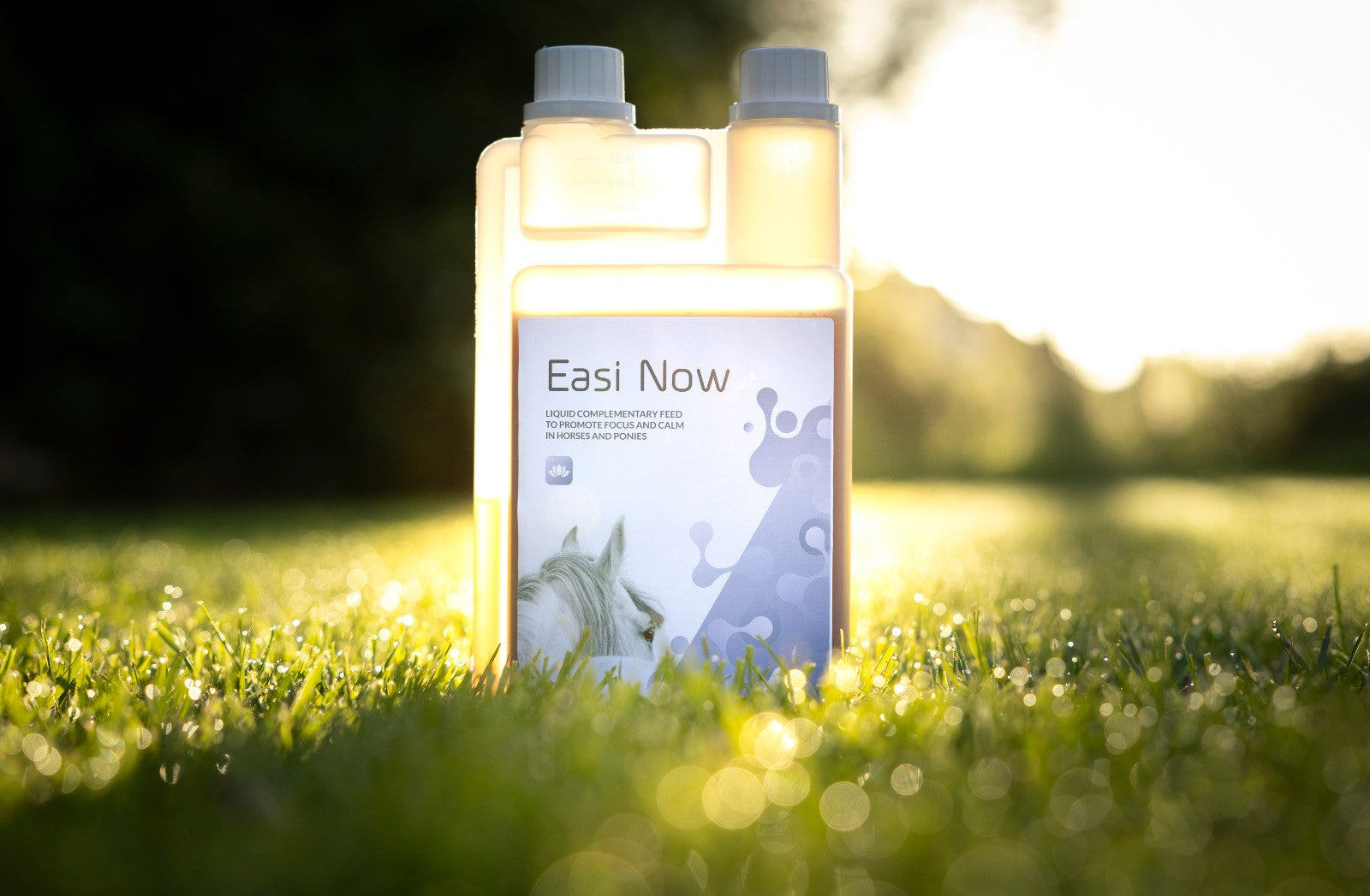 ARK Equine Easi Now- Improves Focus and Calm