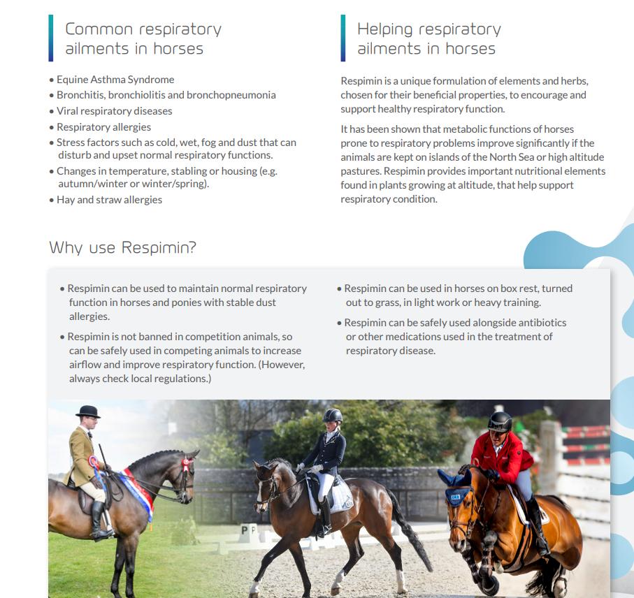 Ark Equine Respimin 800g- For Respiratory tract