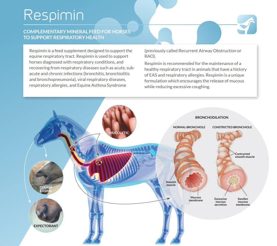 Ark Equine Respimin 800g- For Respiratory tract