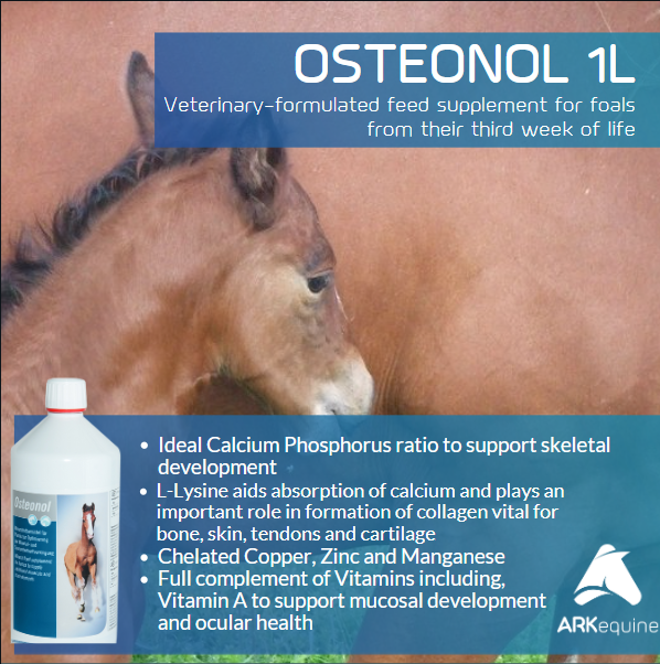 Derbymed (Germany) Osteonol- First Step of Foal Life- 1 Litre
