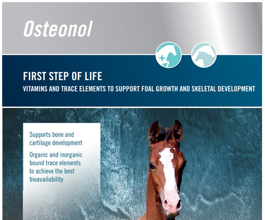 Derbymed (Germany) Osteonol- First Step of Foal Life- 1 Litre