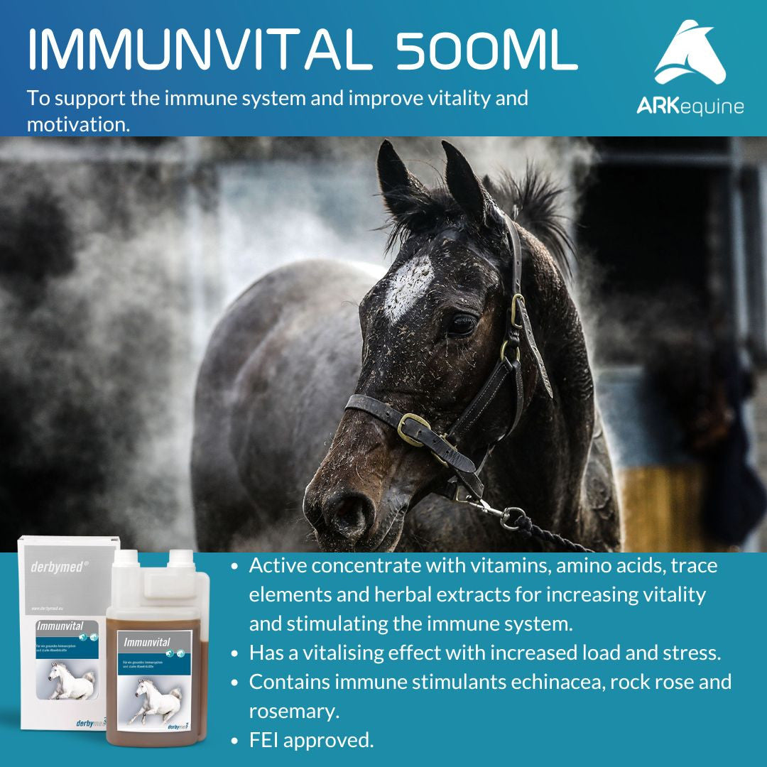 Derbymed (Germany) Immunvital 500ml