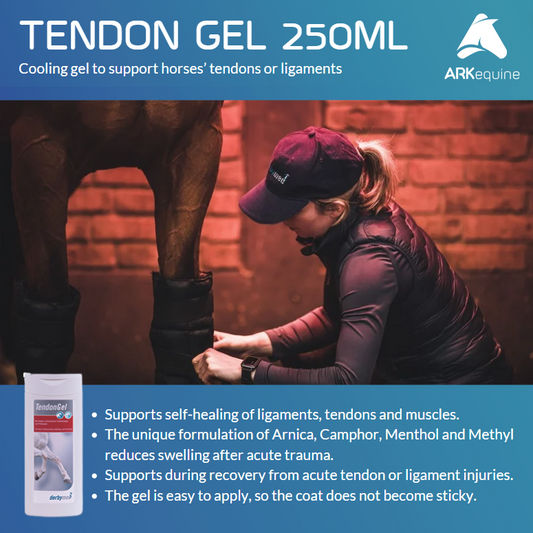 Derbymed Tendon Gel- 250ml