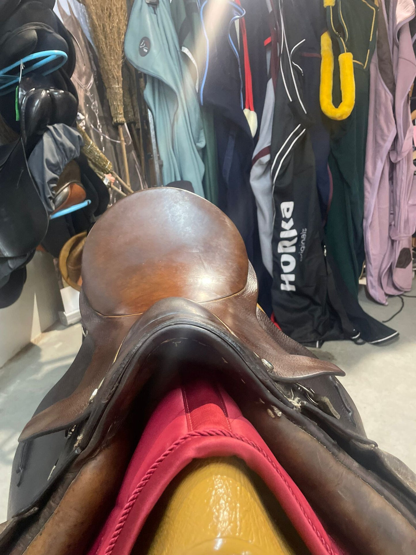 18" Stubben Siegfried