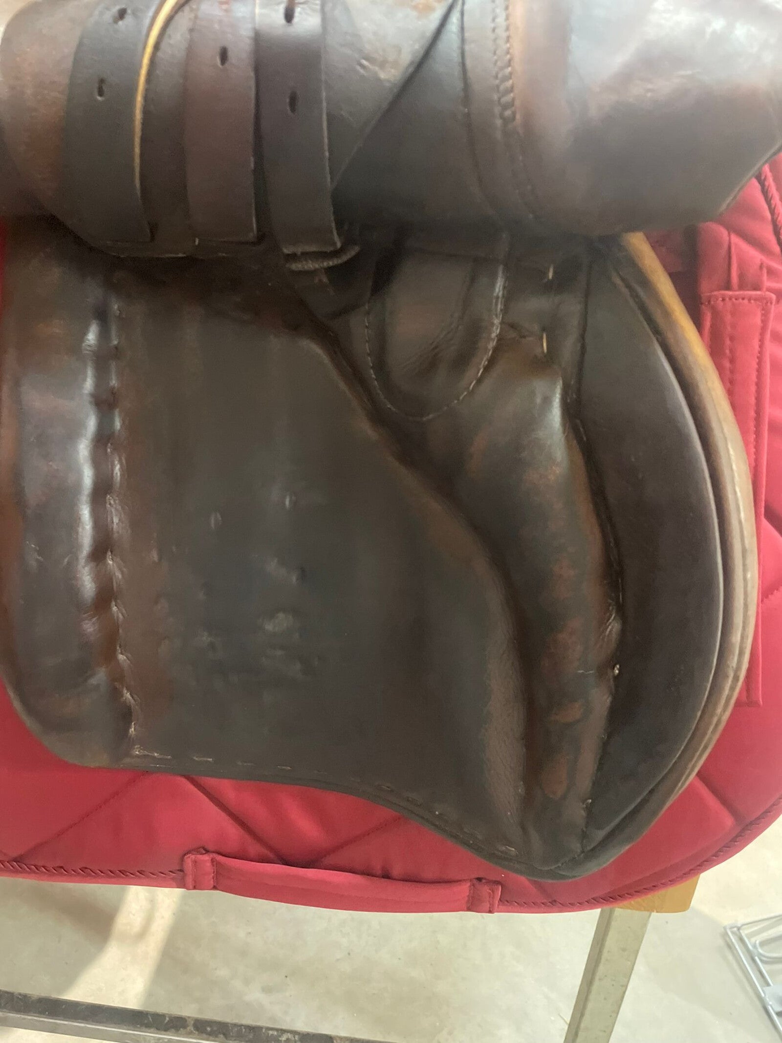 18" Stubben Siegfried