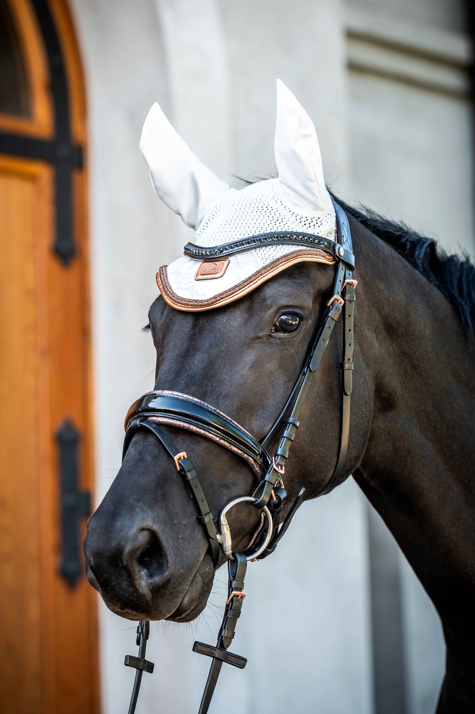 HKM Matching Set "Edinburgh"- Cob/Full Size- General Purpose