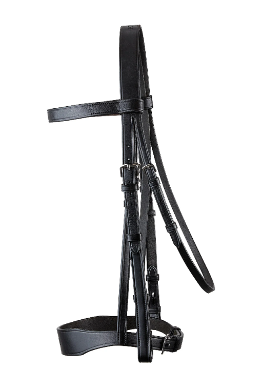 Ecorider Classic Show Bridle