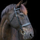 Ecorider Classic Show Bridle