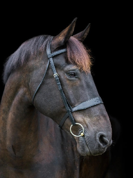 Ecorider Classic Show Bridle