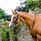 Mackey Classic Double Bridle