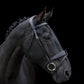 Eco Rider Classic Show Comfort Bridle