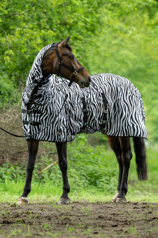 HKM Zebra Fly Rug With Neck