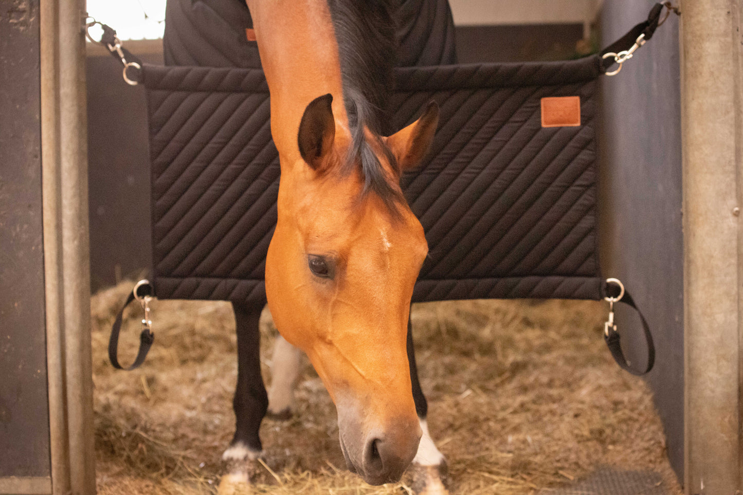 Ekkia Paddock Stall Guard- Black- Embroidery Available Instore