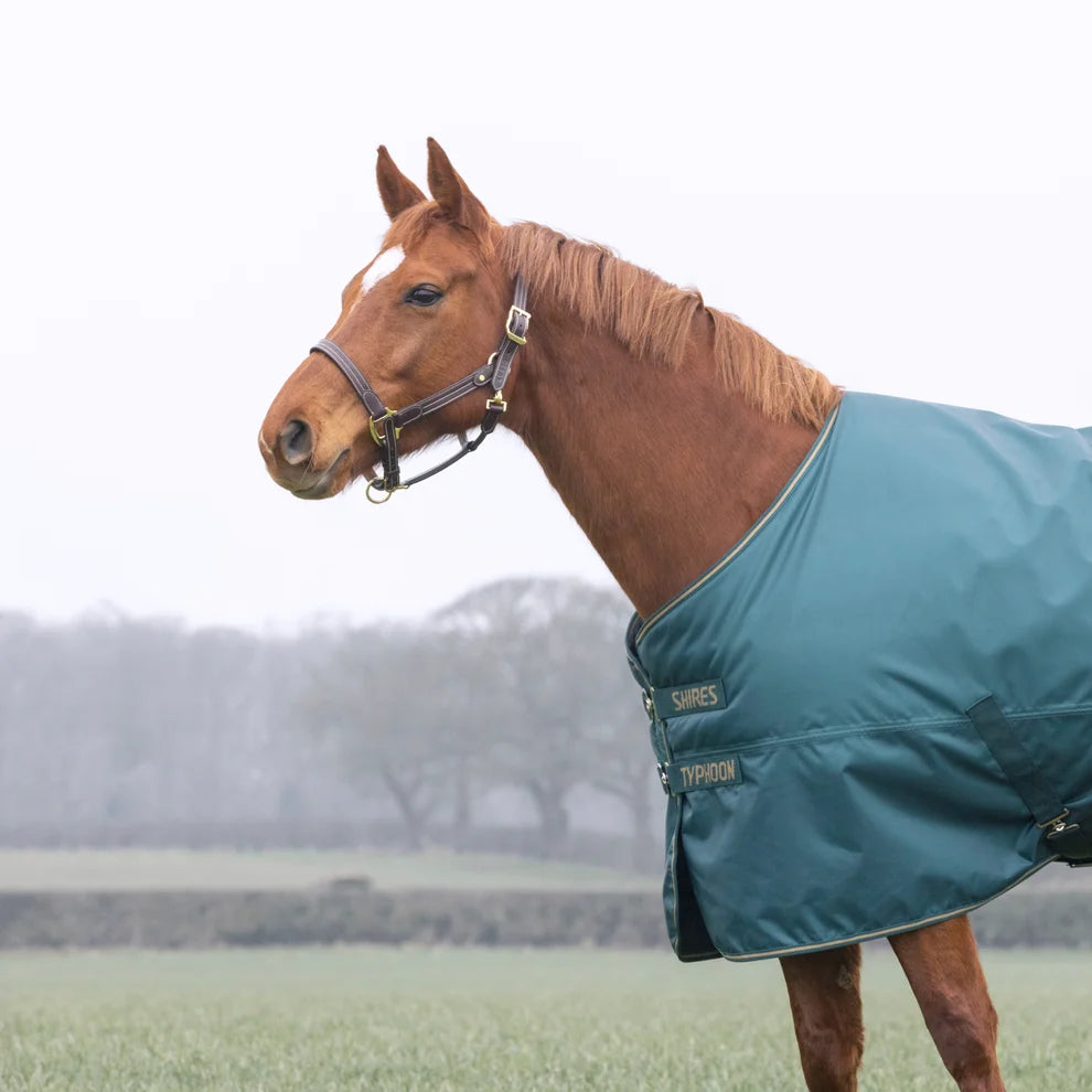Shires Typhoon 200 Turnout Rug Green 4'6" / 54"