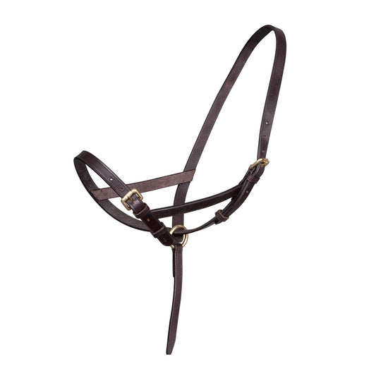 Shires Velociti Gara Leather Foal Slip- Havana