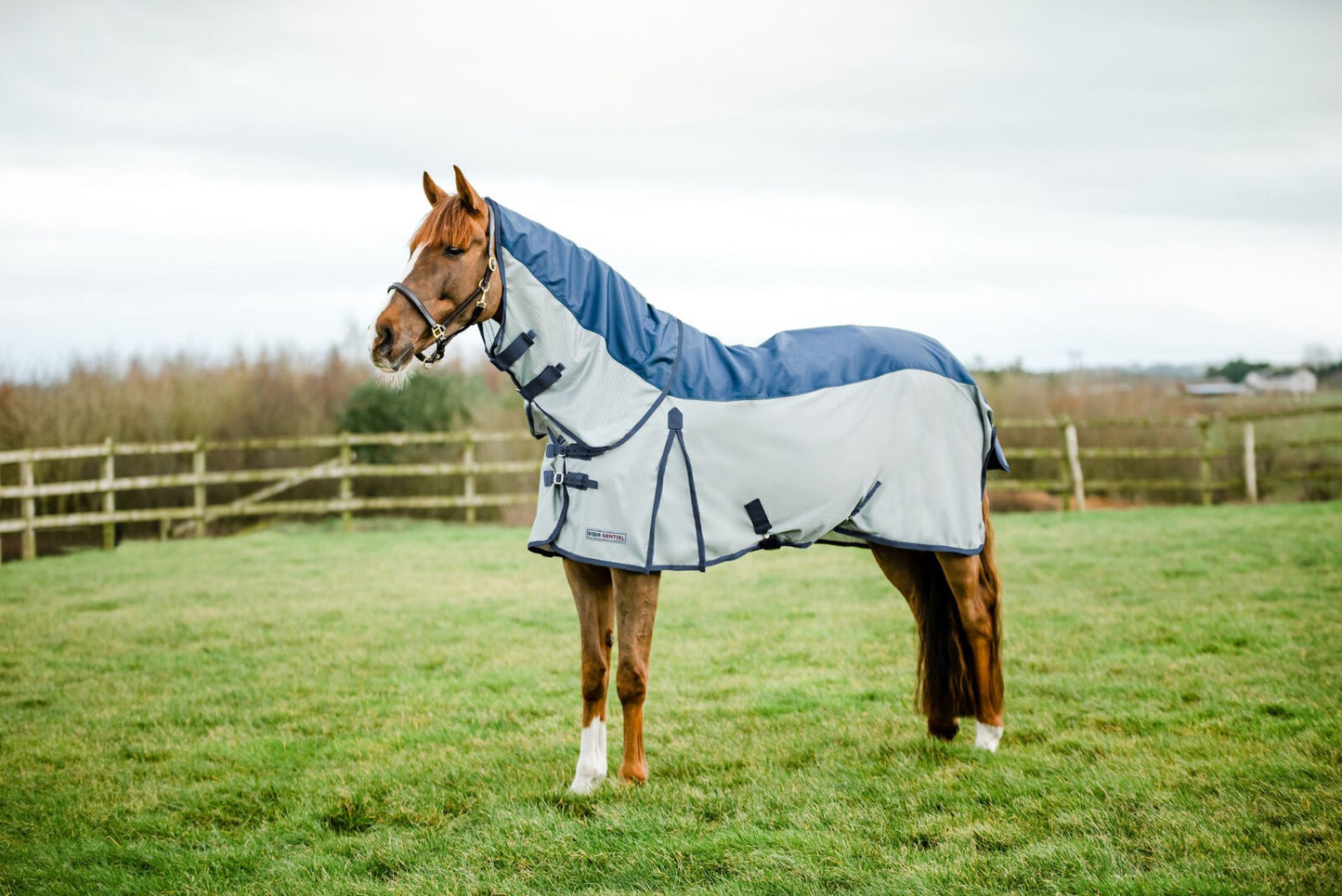 Equisential Waterproof Fly Rug- 5ft 9"