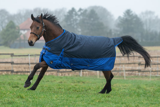 HKM Turnout Rug "Chester" 600Denier 100g Fill