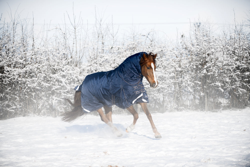 Mackey Wicklow Turnout Rug Detach a Neck- 1680 Denier 360g