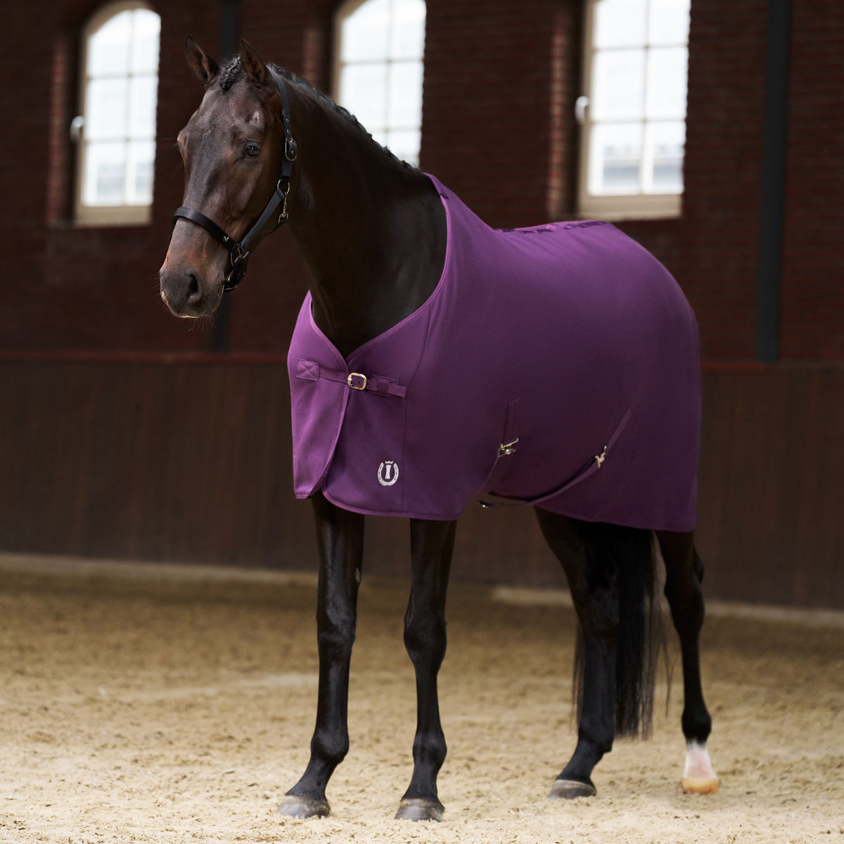 Imperial Riding Fleece Blanket- Fig