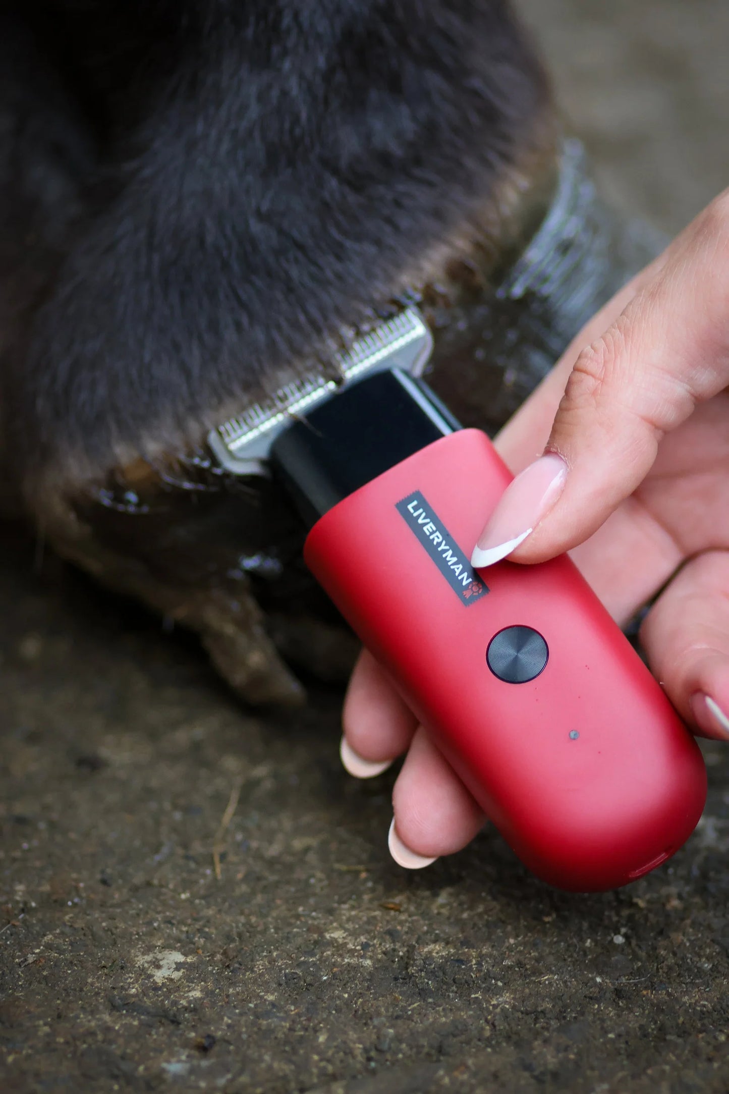 Liveryman Robin Horse Trimmers