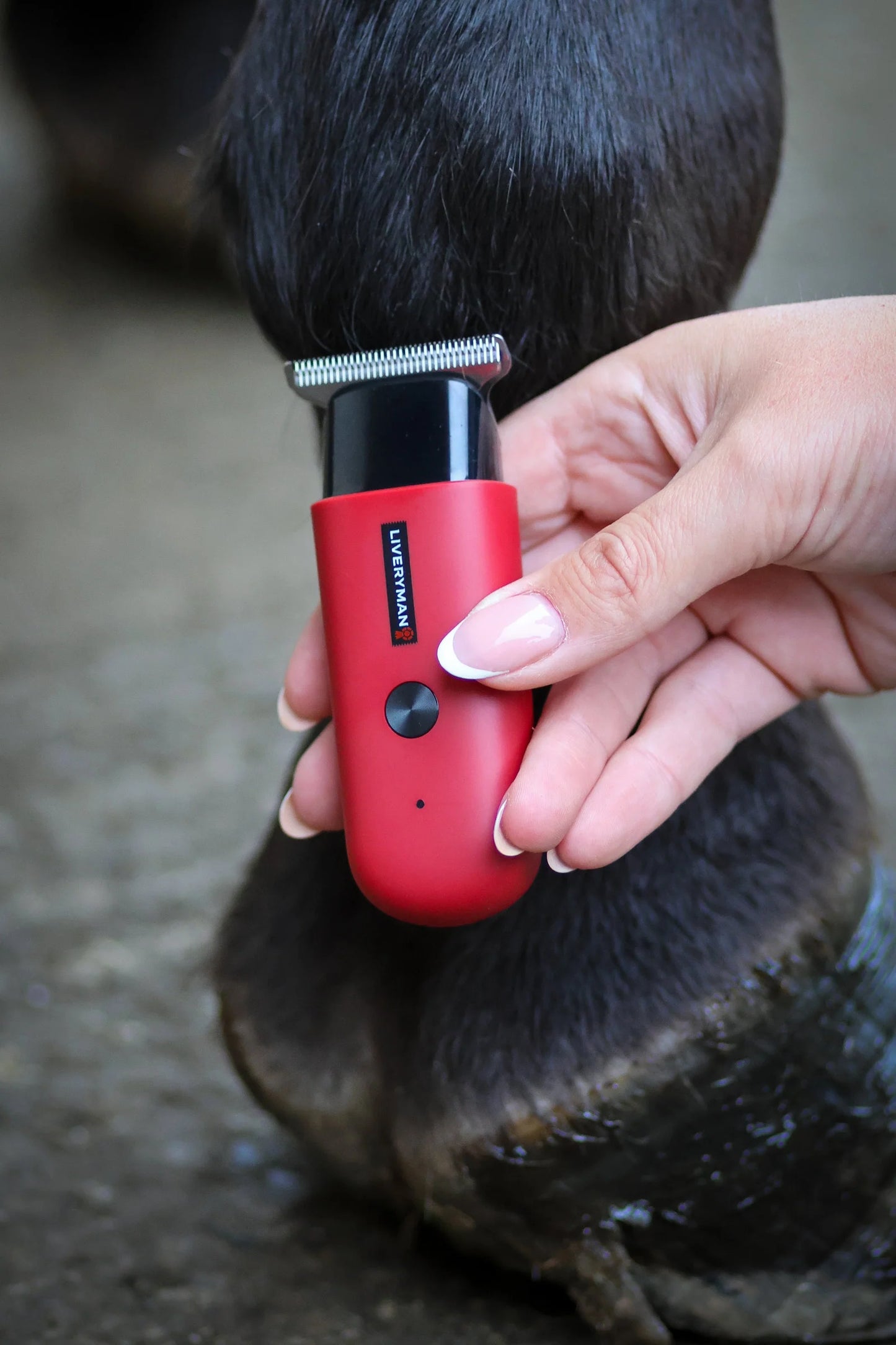 Liveryman Robin Horse Trimmers