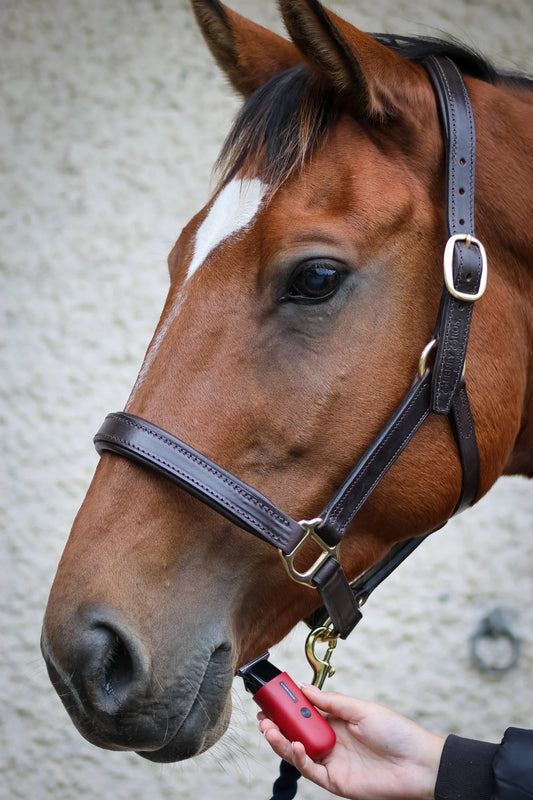 Liveryman Robin Horse Trimmers