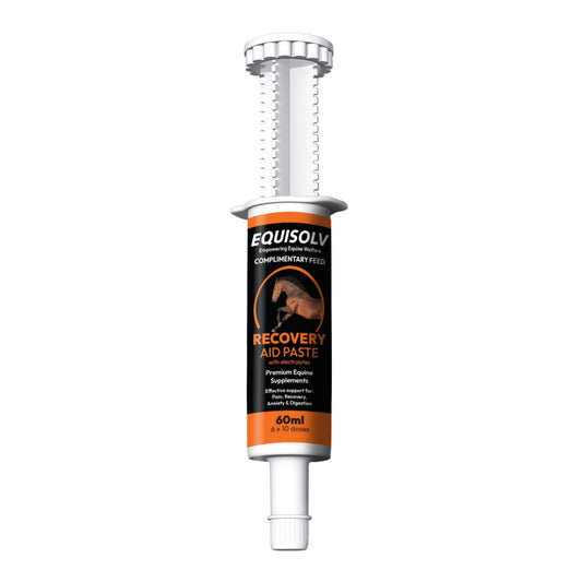 Equisolv CBD Recovery Aid Paste- 6 x 10ml doses