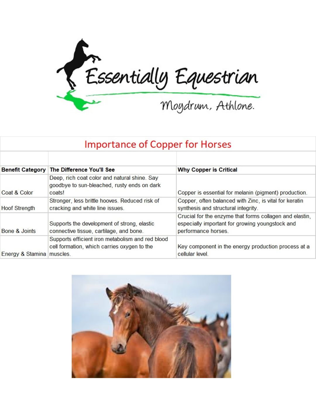 Copper Gel Booster Syringe- 10 for €70