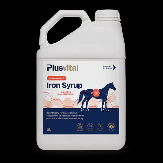 Plusvital Iron Syrup 5 litre- 83 Day Supply
