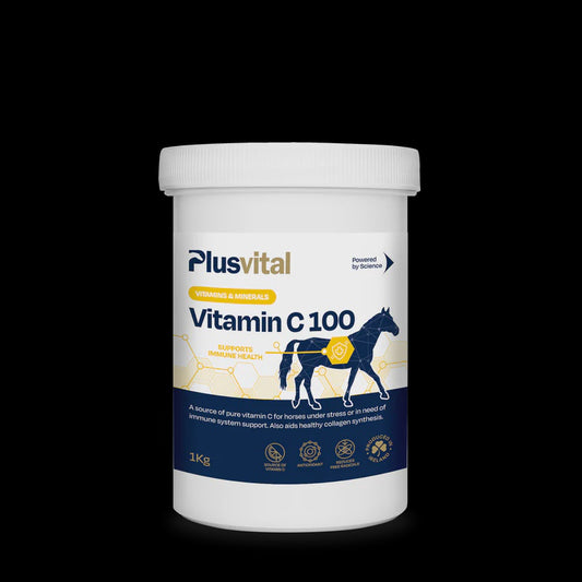 Plusvital Vitamin C 100- 1kg or 200 Days