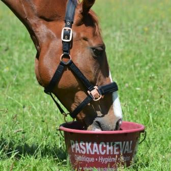 Paskacheval Paskabloc Mineral Lick Bucket