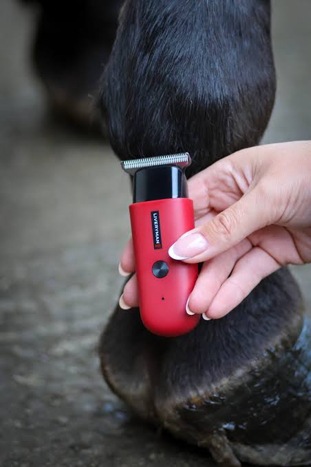 Liveryman Robin Horse Trimmers