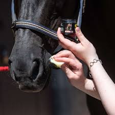 Smart Grooming Equine Make Up- Black