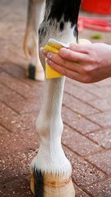 Smart Grooming Leg & Body Whitener 500gm