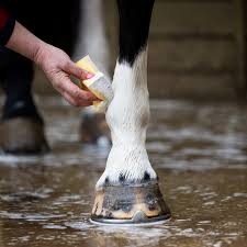 Smart Grooming Leg & Body Whitener 500gm