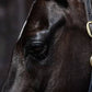 Smart Grooming Equine Make Up- Black