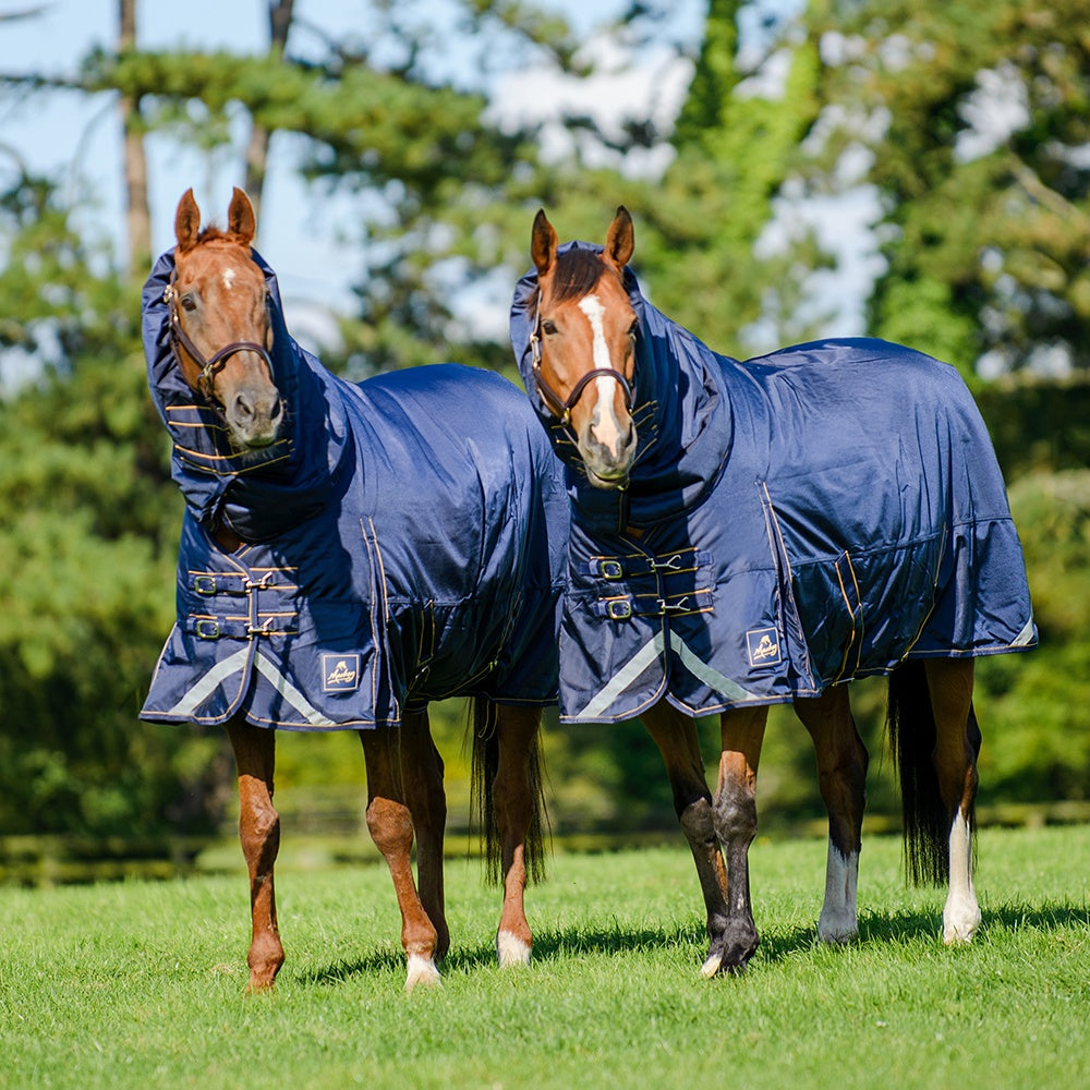Mackey Wicklow Turnout Rug Detach a Neck- 1680 Denier 360g