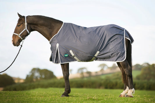 Cameo Equine Winter Turnout Rug- 250g- Grey
